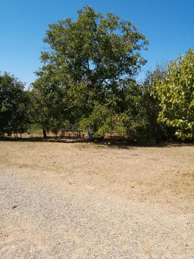 Podere Calcinaia Castelnuovo Berardenga Exterior foto